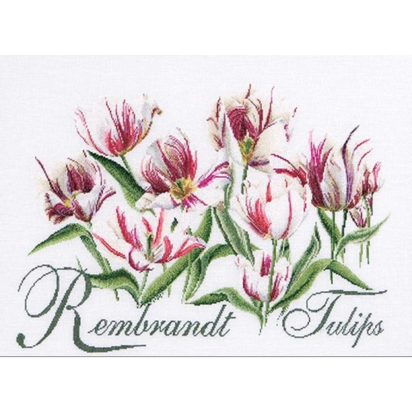 Thea Gouverneur 447A Rembrandt Tulips sur toile Aida blanc - Photo n°1