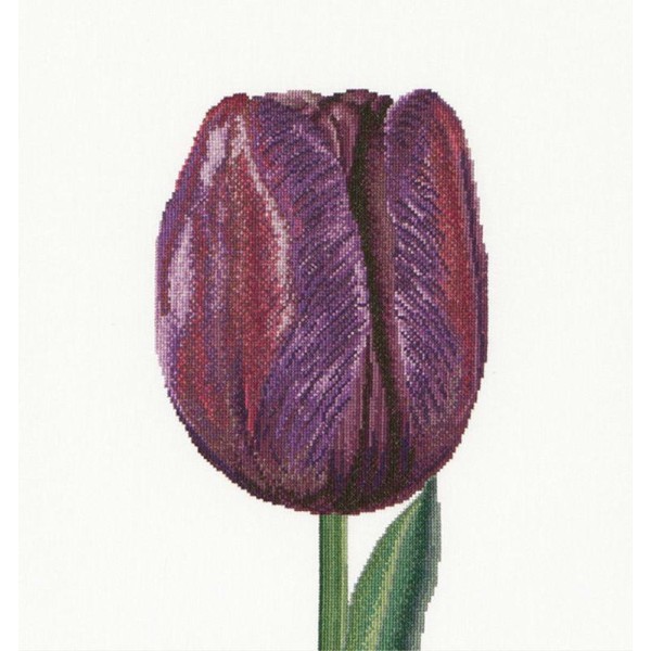 Thea Gouverneur 514A Purple Triumph Tulip sur toile Aida blanc - Photo n°1