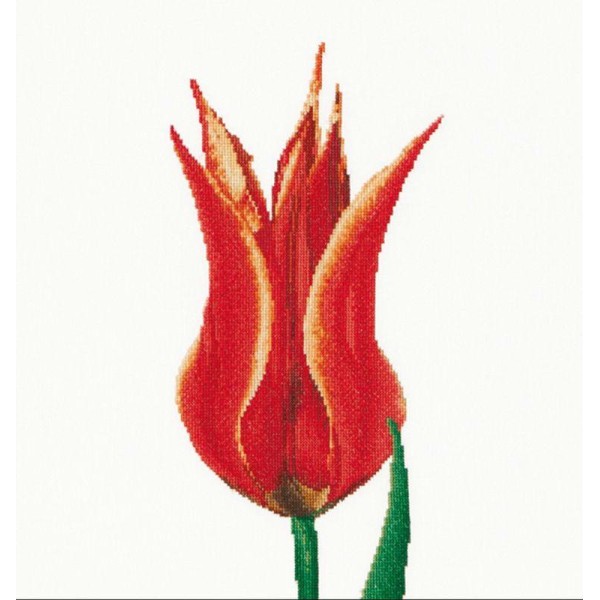 Thea Gouverneur 515A  Red Yellow Lily Flowering Tulip  sur toile Aida blanc - Photo n°1