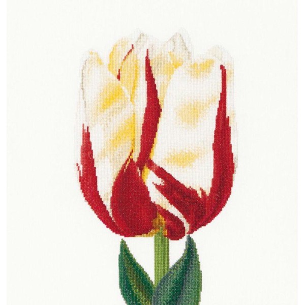 Thea Gouverneur 516A  Flamed Single Late Tulip  sur toile Aida blanc - Photo n°1