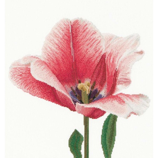 Thea Gouverneur 518A Pink Darwin Hybrid Tulip  sur toile Aida blanc - Photo n°1