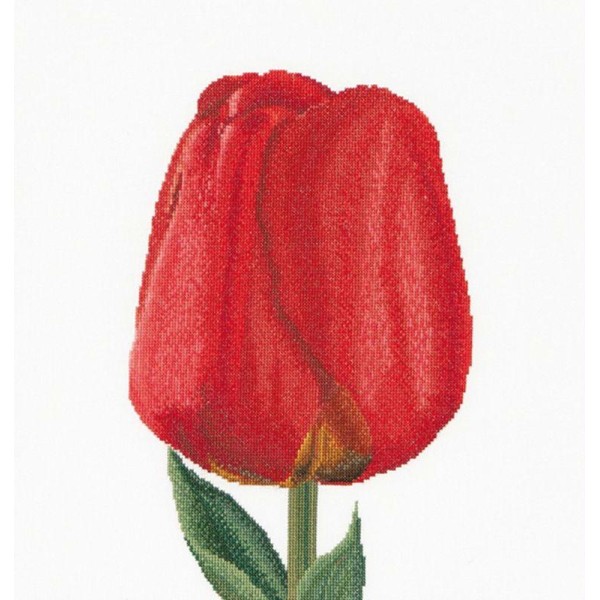 Thea Gouverneur 521A Red Darwin Hybrid Tulip  sur toile Aida blanc - Photo n°1