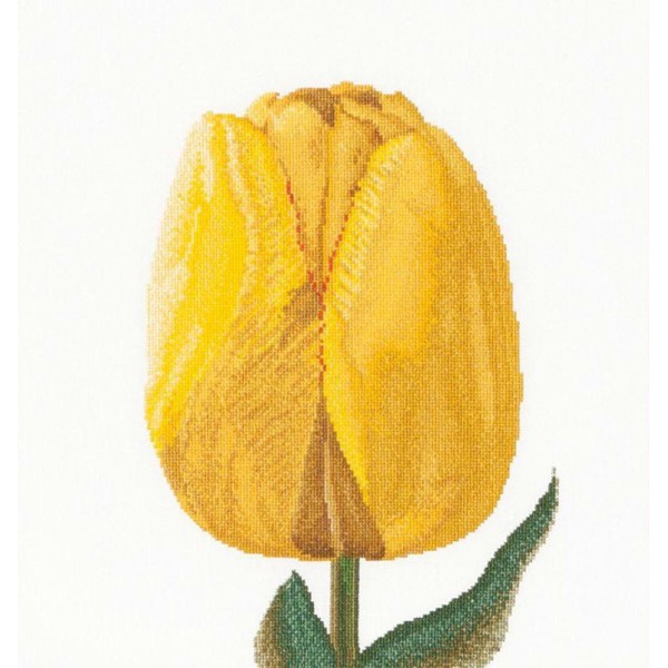 Thea Gouverneur 522 Yellow Hybrid Tulip  sur toile Lin - Photo n°1