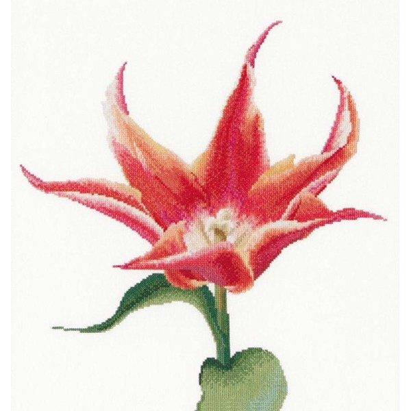Thea Gouverneur 524A Orange Lily Flowering Tulip  sur toile Aida blanc - Photo n°1