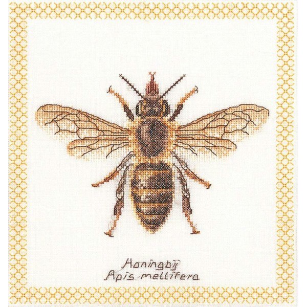 Thea Gouverneur 3017A  Honey Bee toile Aida blanc - Photo n°1