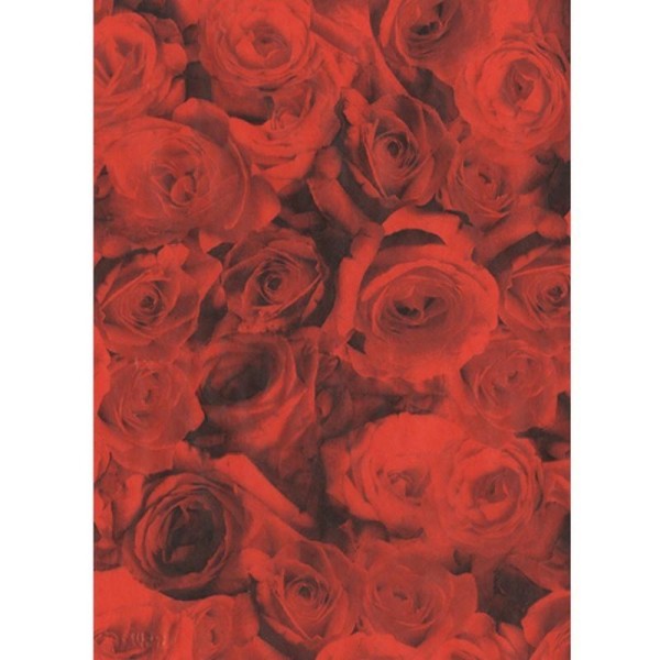 Feuille Decopatch n°574, Têtes de Roses rouges, Papier 30x39 cm - Photo n°1