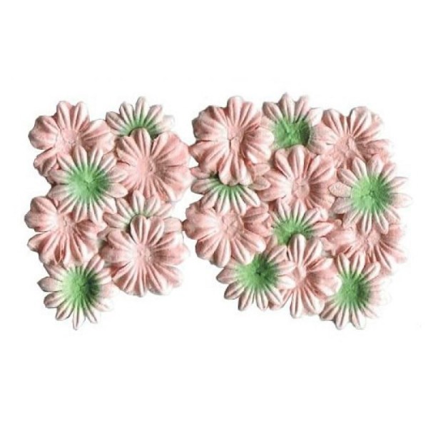 20 mini fleurs blossoms en papier SCRAPBERRY'S PECHE VERT - Photo n°1