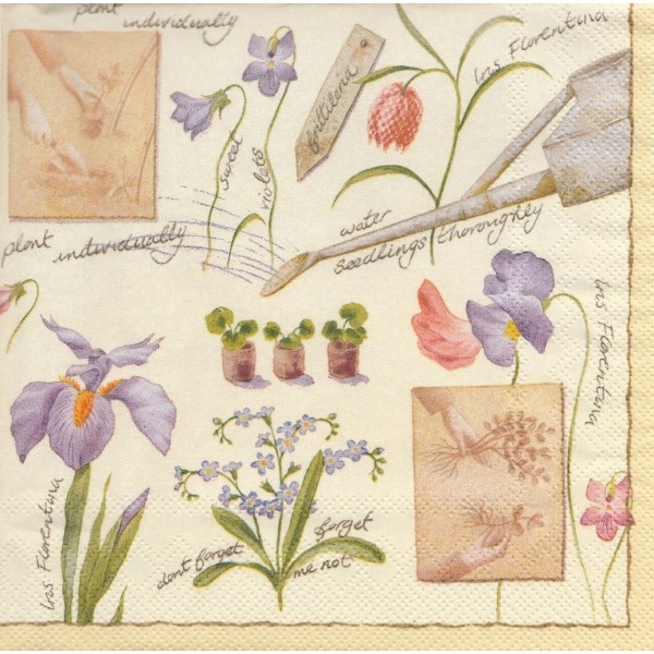 4 Serviettes en papier Fleurs Iris Jardin Format Lunch Decoupage Decopatch SLWI-002201 Pol-Mak - Photo n°1