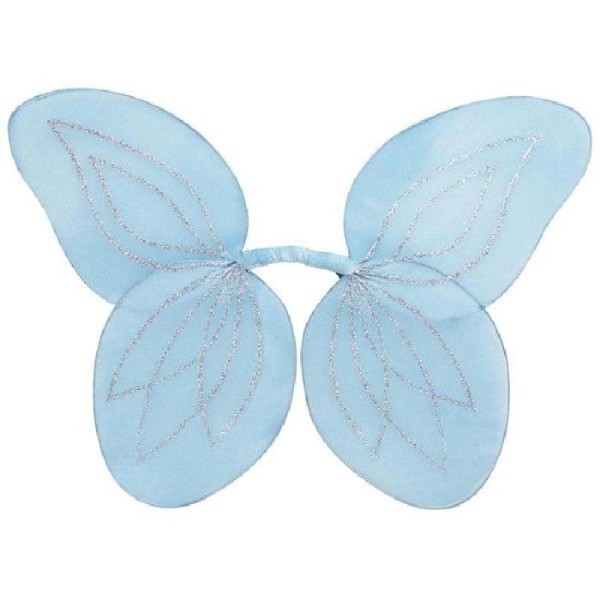 Ailes papillon bleues - Photo n°1