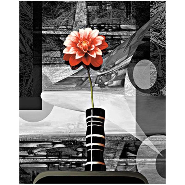 Image 3D Fleur - Fleur rouge fond noir et blanc 40 x 50 cm - Photo n°1