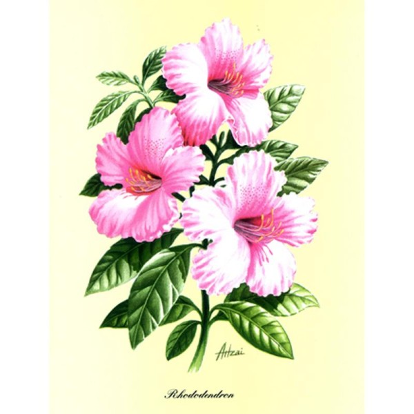 Image 3D Fleur - Rhododendron rose 24 x 30 cm - Photo n°1