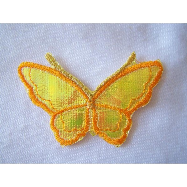 Papillon jaune - Photo n°1