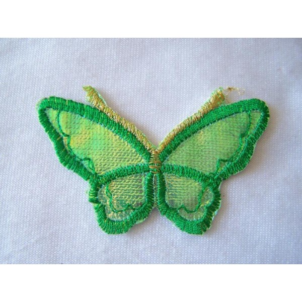 Papillon vert - Photo n°1
