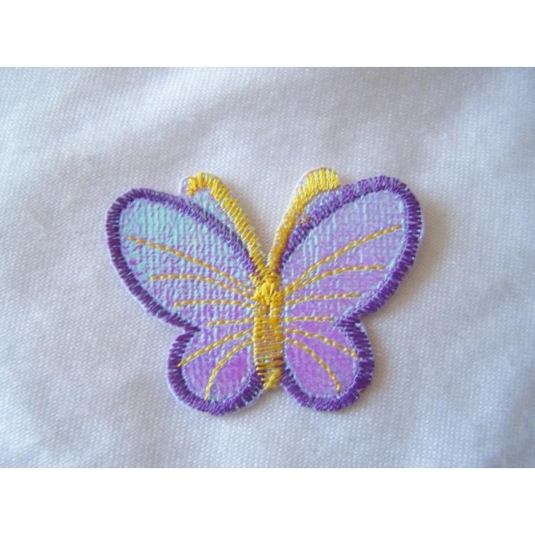Papillon violet - Photo n°1