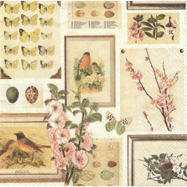 4 Serviettes en papier Botanique Fleur Printemps Oiseau Format Lunch - Photo n°1