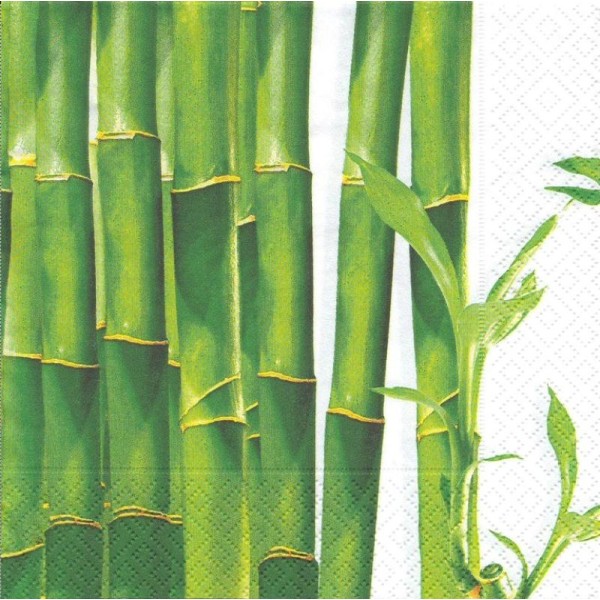 4 Serviettes en papier Asie Bambou Format Lunch - Photo n°1