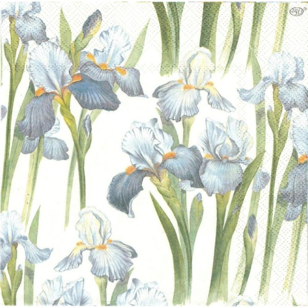 4 Serviettes en papier Fleurs Iris Format Lunch - Photo n°1