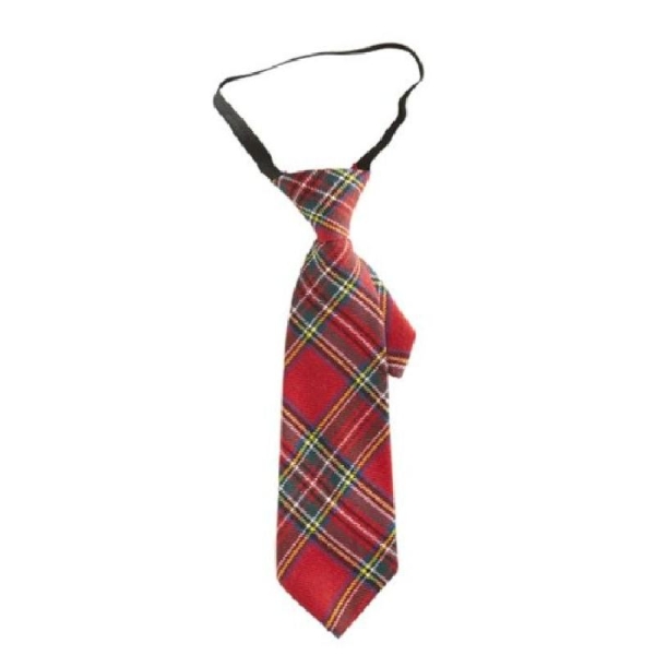 Cravate Écossaise (30 cm) - Photo n°3