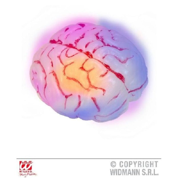 Cerveau lumineux - Photo n°1