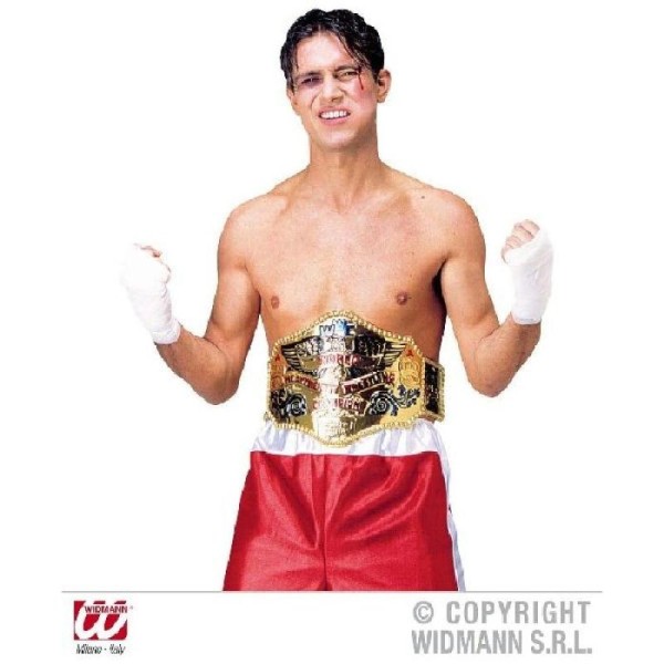 Ceinture champion du monde de boxe - Photo n°1