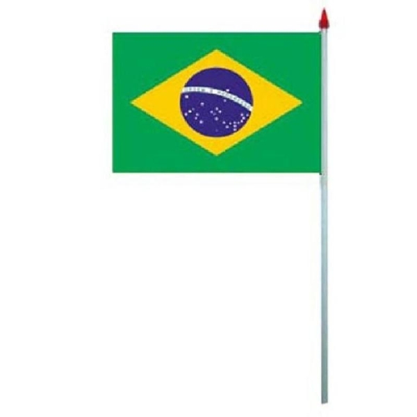 10 Drapeaux Brésilien (PVC) - Photo n°1