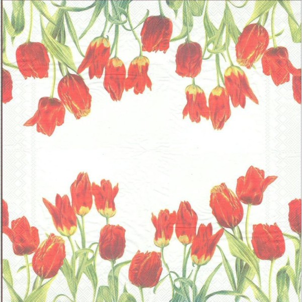 4 Serviettes en papier Fleurs Tulipes Rouges Format Cocktail - Photo n°1