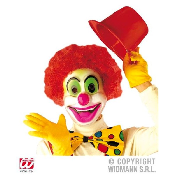 1 Masque clown avec cheveux assorti - Photo n°2