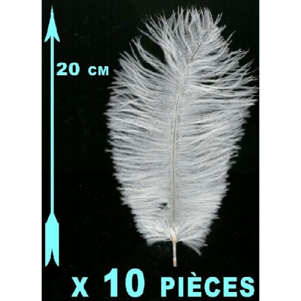 10 Plumes blanches 20 cm extra-large - Photo n°1
