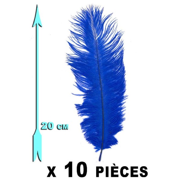 10 Plumes bleues-roi 20 cm extra-large - Photo n°1