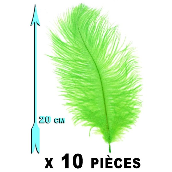 10 Plumes vert-anis 20 cm extra-large - Photo n°1