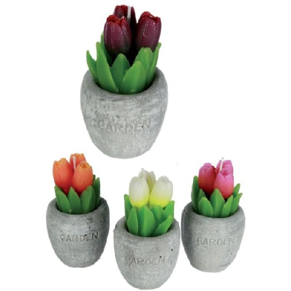 4 Bougies tulipe en pot en polyrésine 6 x 11 cm - 4 couleurs assorties - Photo n°1