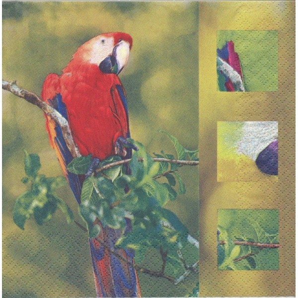 4 Serviettes en papier Perroquet Ara Oiseau Format Lunch Decoupage Decopatch 211018  Home Fashion - Photo n°1