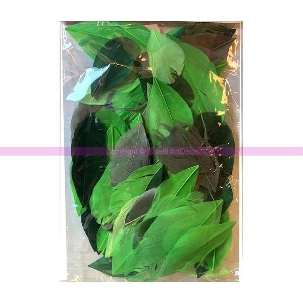 Sachet de Plumes coupées, camaieu Vert, sachet de 10gr ,60 mm, pour Bijoux ou attrape rêve - Photo n°1