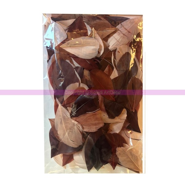 Sachet de Plumes coupées, camaieu Chocolat, sachet de 10gr ,60 mm, pour Bijoux ou attrape rêve - Photo n°1