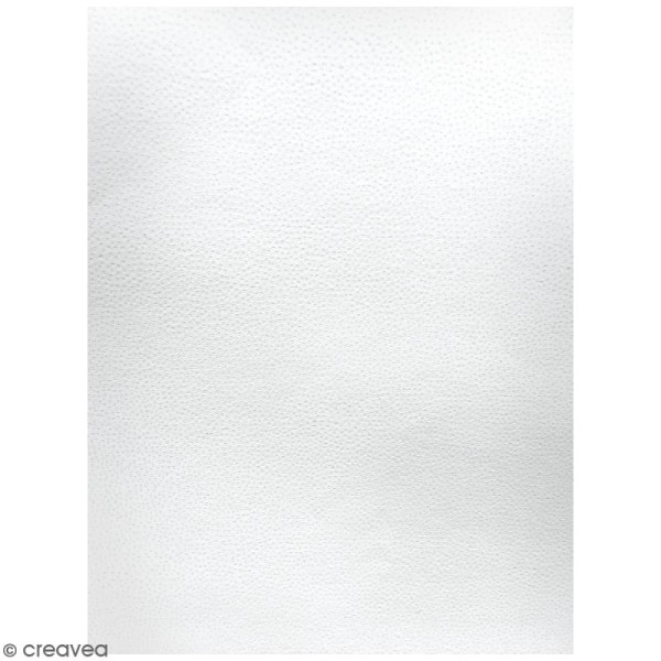 Lot de papier texturé A4 - Blanc - Petits points - 20 pcs - Photo n°1