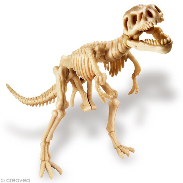 Kit de fouille - Squelette de dinosaure - Tyrannosaure - Photo n°2