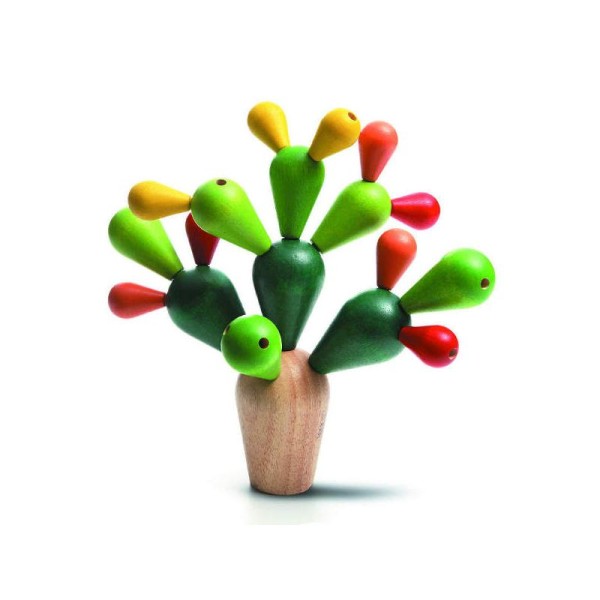 Mikado cactus - Photo n°1