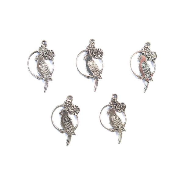 LOT  5 CHARMS METALS : perroquet 25mm - Photo n°1