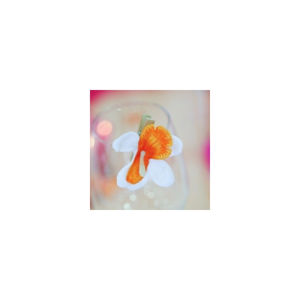 Orchidées sur pince (x6) blanc / orange - Photo n°2