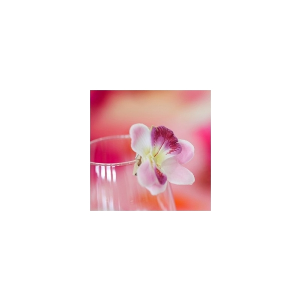 Orchidées sur pince (x6) blanc / rose - Photo n°2