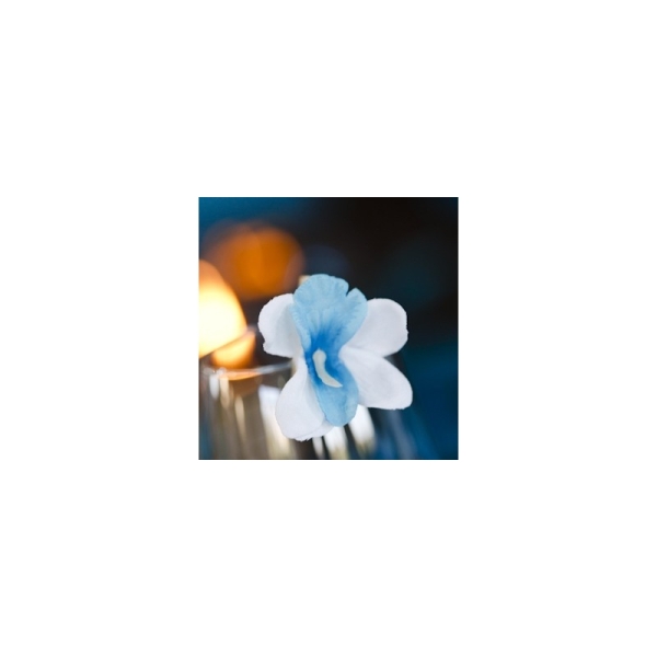 Orchidées sur pince (x6) blanc / turquoise - Photo n°3