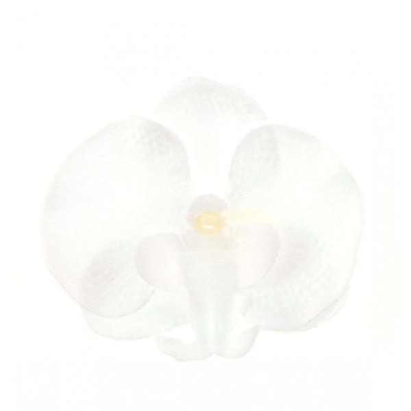 Orchidées à parsemer (x6) blanches - Photo n°1