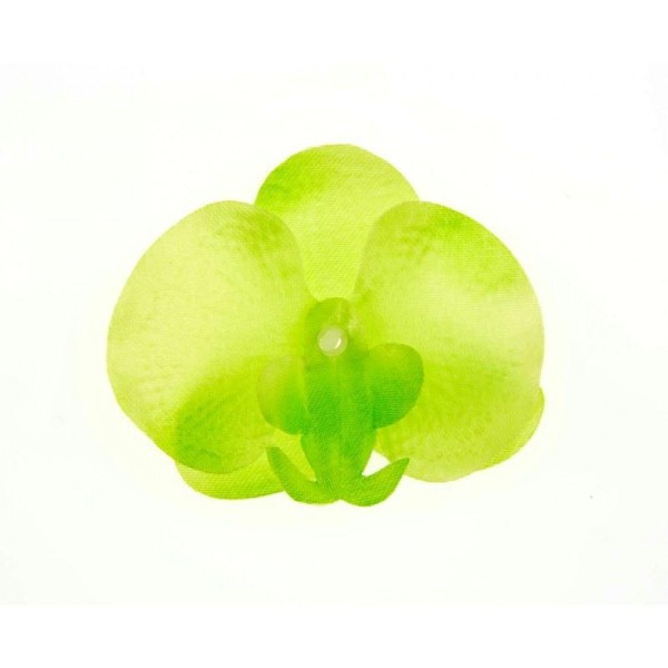 Orchidées à parsemer (x6) vert anis/blanc - Photo n°1