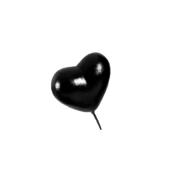 Piquets cœurs irisés noir (x2) - Photo n°1