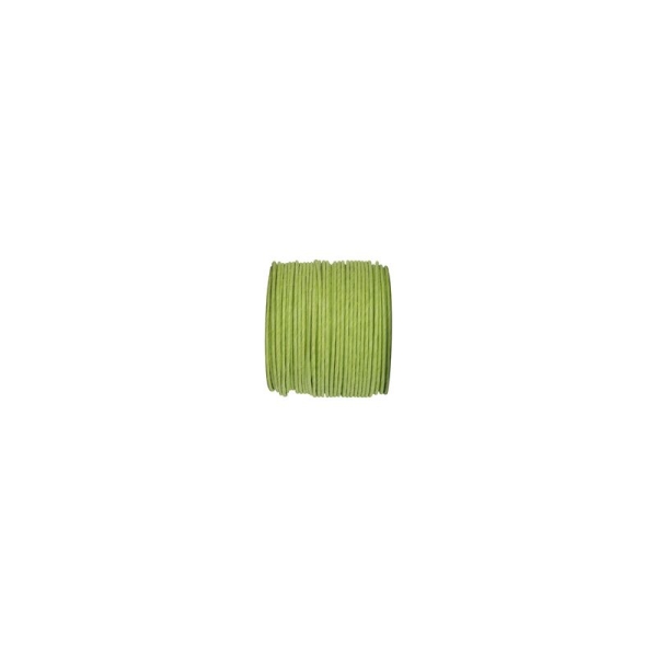 Ruban corde laitonné de couleur vert anis - Photo n°1