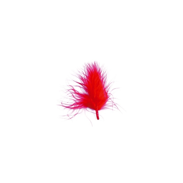 Plumes rouge (x20) - Photo n°1