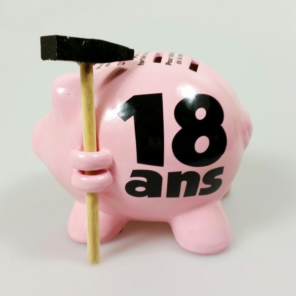 Tirelire cochon 18ans - Photo n°1