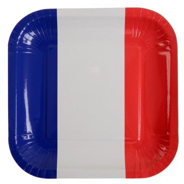 Assiettes drapeau Français (x10) - Photo n°1