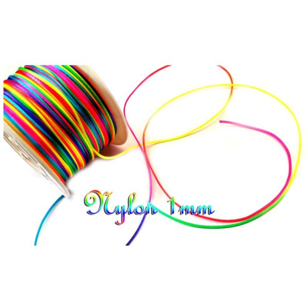 Cordons de Nylon 5 Mètres  multicolore colors fun - Photo n°1