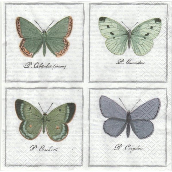 4 Serviettes en papier Papillons Format Lunch - Photo n°1